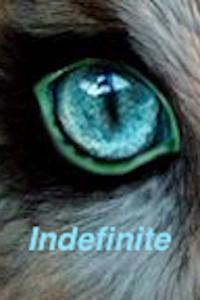 Cover of Indefinite