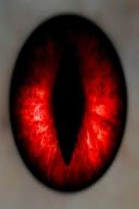 Cover of Vampire