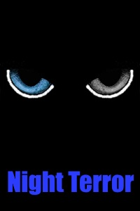 Cover of Night Terror