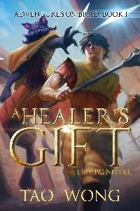 Cover of A Healer's Gift, An Adventurer's Heart