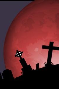 Cover of Midnight Moonlight