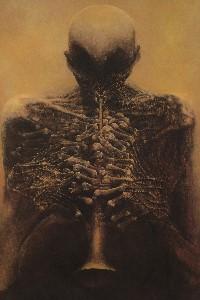 Cover of Fragility
