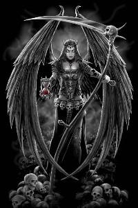 Cover of The Gods' Chosen Few