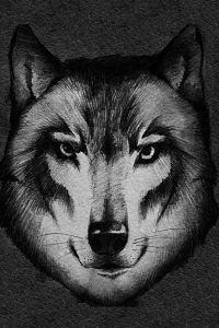 Cover of Wolf's Cry