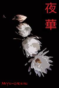 Cover of Rise of Nightflower
