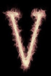 Cover of The Voyager