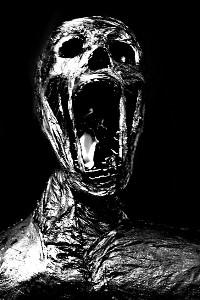 Cover of Terrortorial