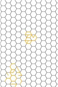 Cover of A Lazy Programmer