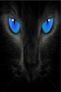 Cover of Artemis The Celestial Beast(Hiatus)