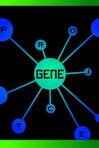 Cover of GENE Project: Path to Perfection