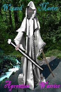 Cover of Wizard Master, Apprentice Warrior