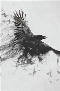 Cover of Dragonfall: Soulborn