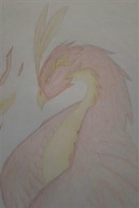 Cover of Nyix
