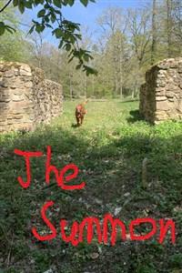 Cover of The Summon