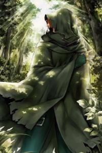Cover of Evolution (Rewrite)