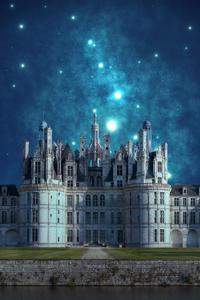 Cover of The Citadel's Survivor