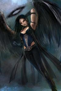 Cover of On Darkened Wings