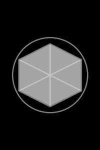 Cover of The Gray Mage