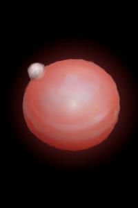 Cover of Dungeon Pearl