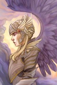 Cover of The Valkyrie