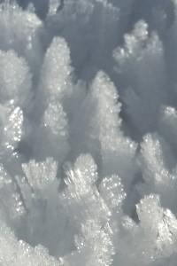 Cover of Coeus?