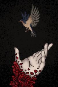 Cover of Flash Step