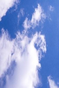 Cover of First