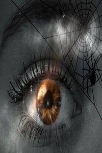 Cover of Dreambreaker