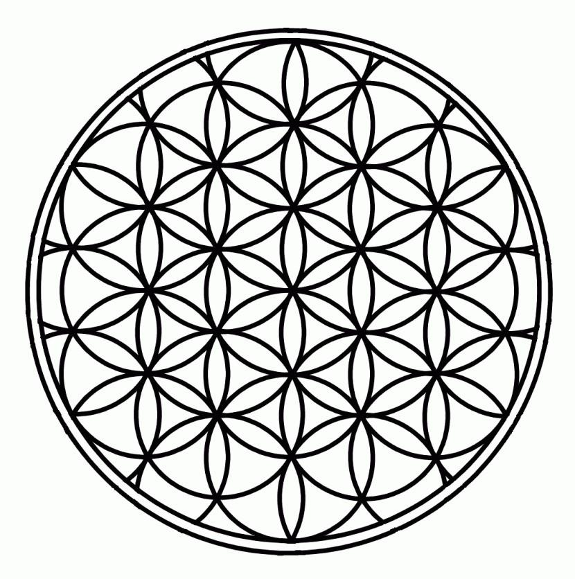 Cover of Veneration