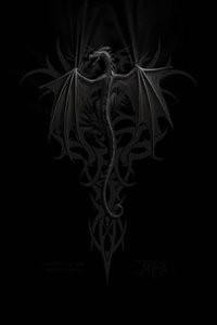 Cover of The Cursed Dragon