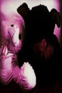 Cover of Macabre Mim