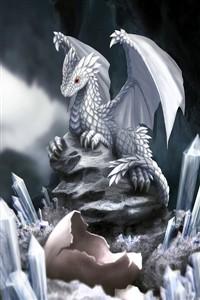 Cover of Dragon Guardian