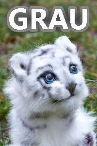 Cover of Once there was a cat...